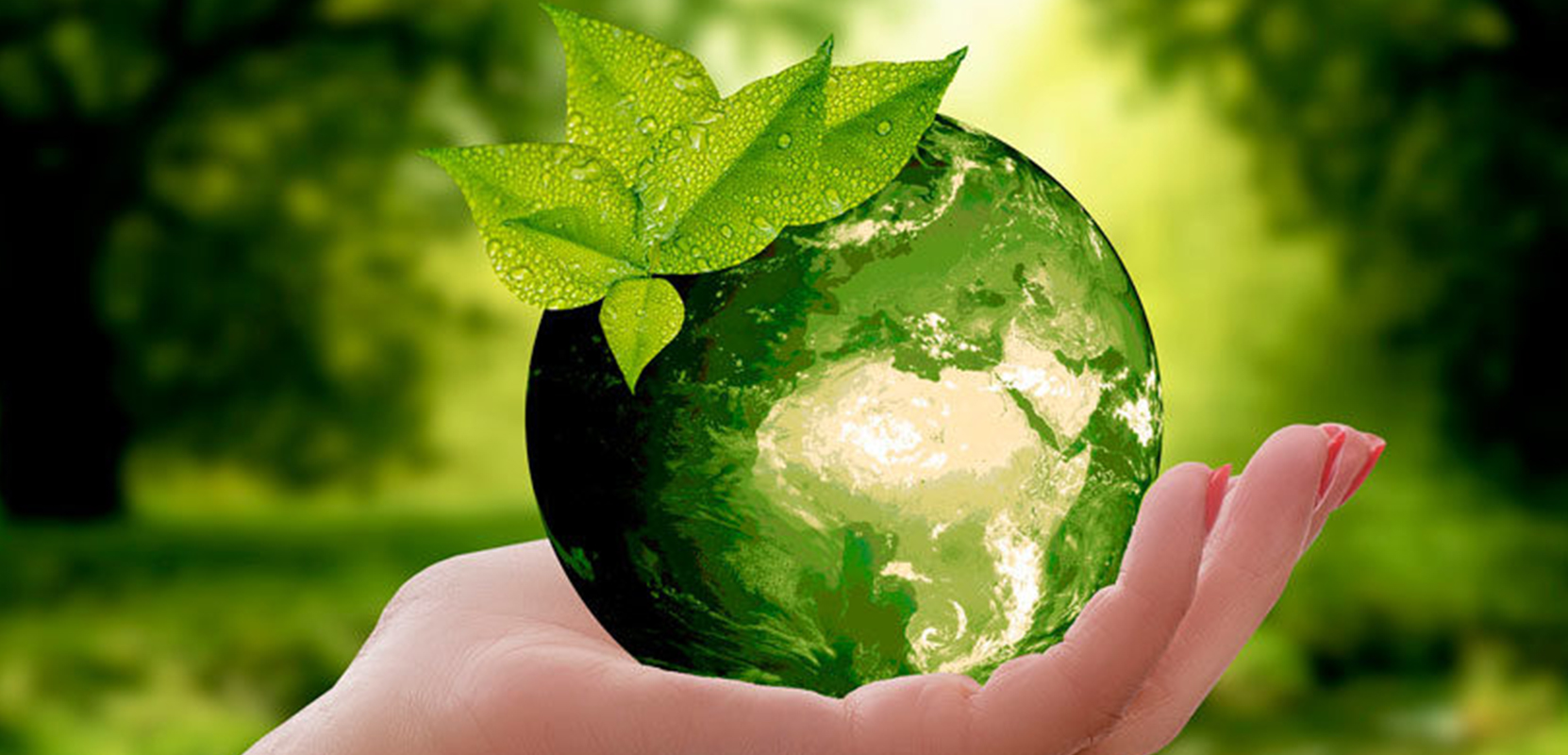 5 de junio. Día Mundial del Medio Ambiente
